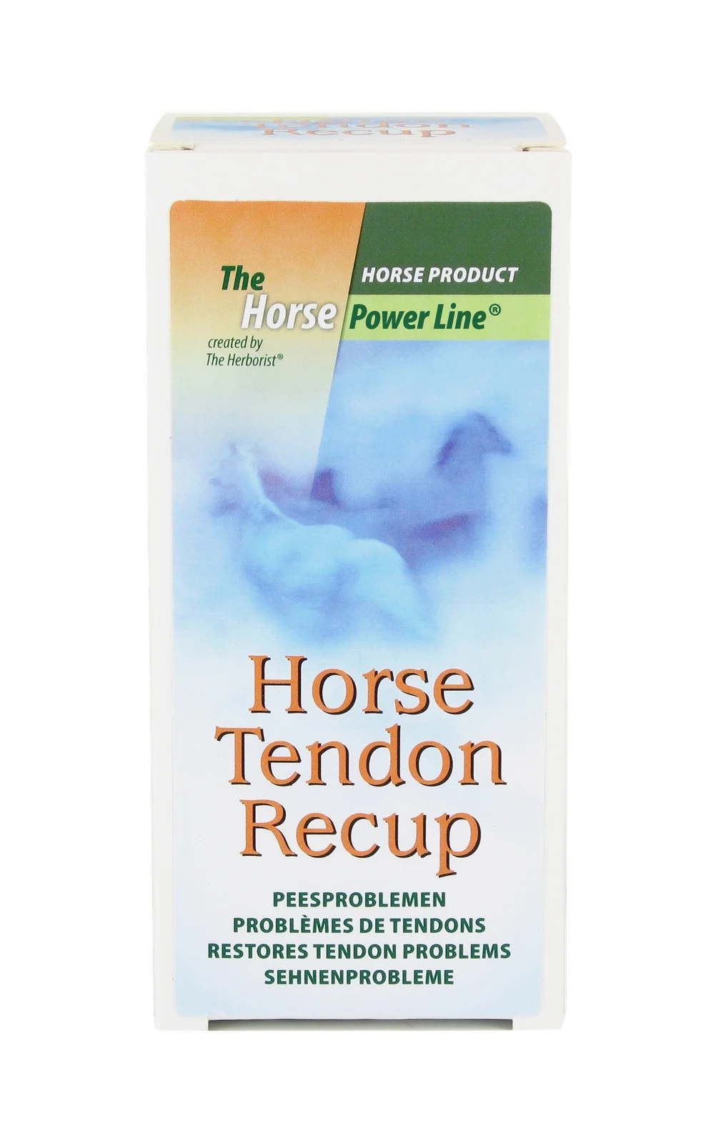 Horse Tendon Recup